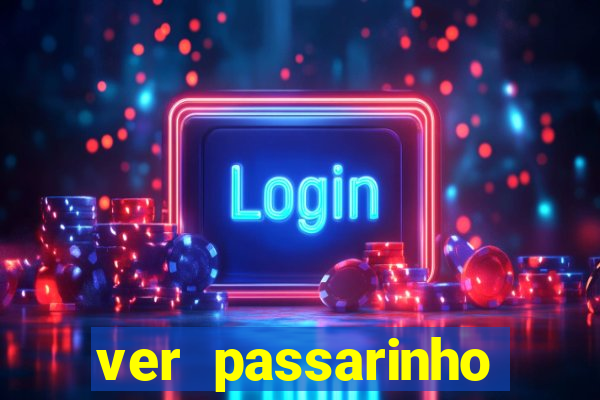 ver passarinho morto significado espiritual